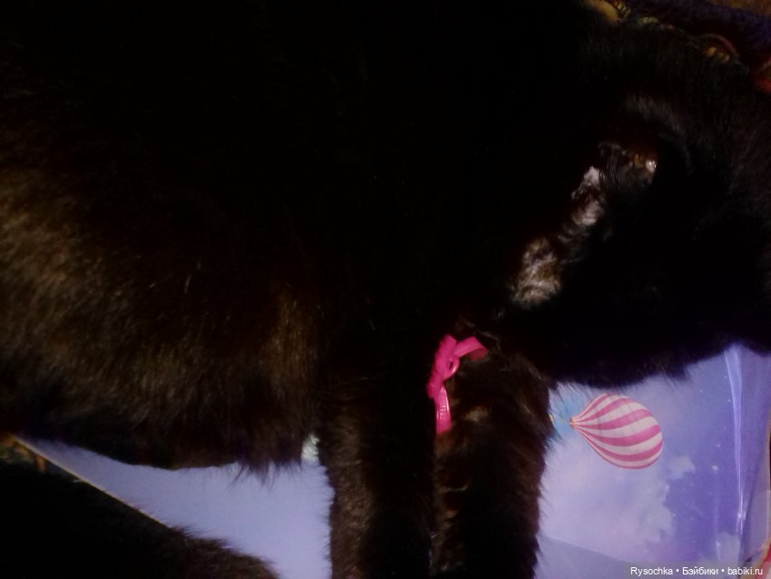 Все побежали, и я побежал (фото 10)