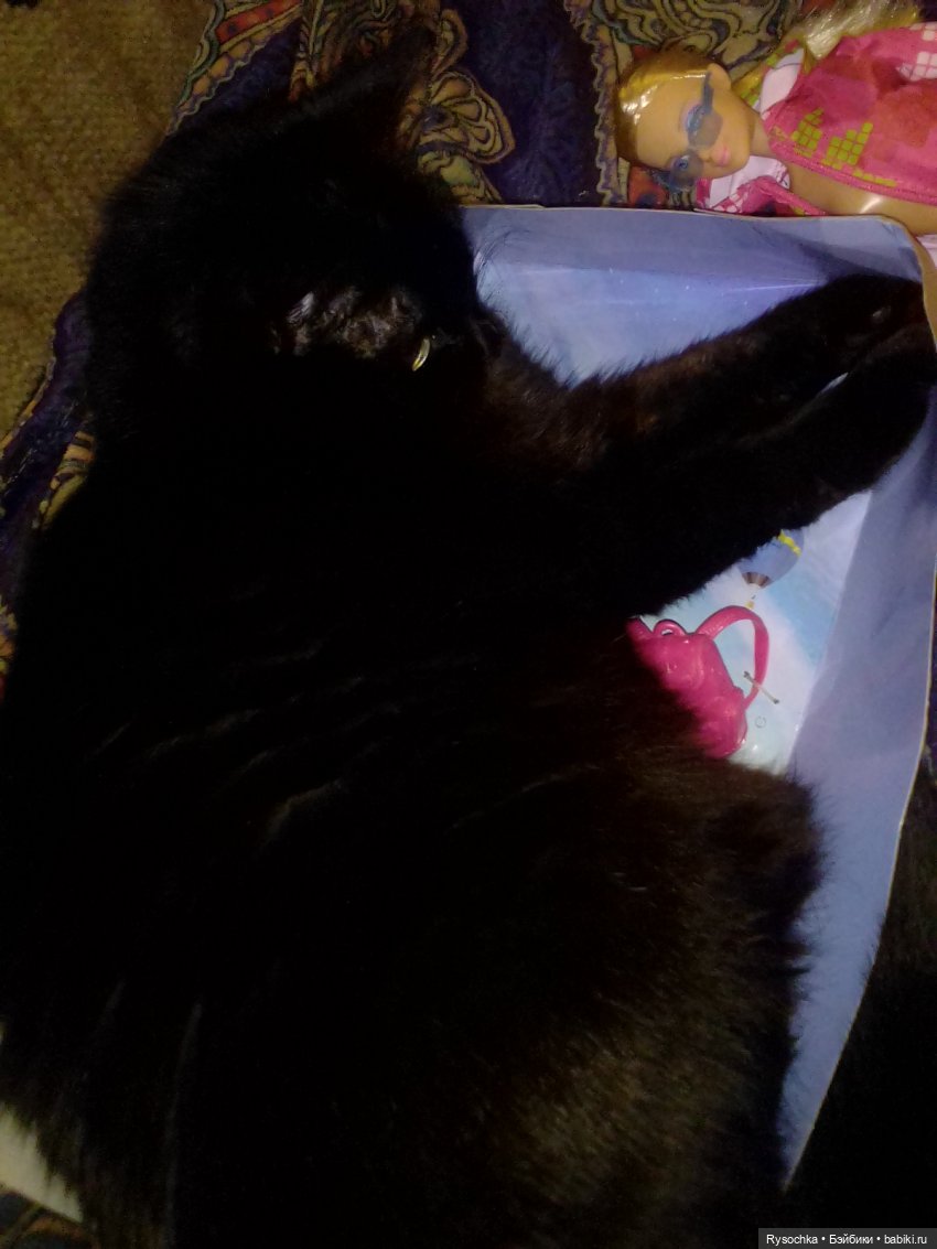 Все побежали, и я побежал