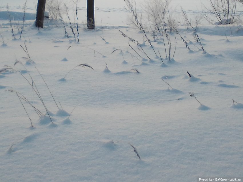 Солнечный денёк — Куклы Barbie (Барби): Looks (фото 9)