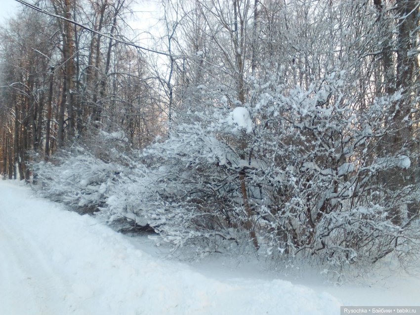 Солнечный денёк — Куклы Barbie (Барби): Looks (фото 5)