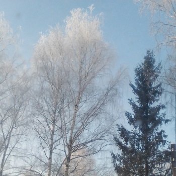 Солнечный денёк