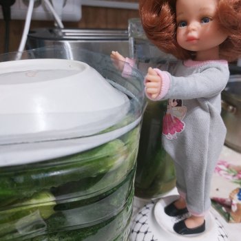 Огурцы зелёные, Тришенькой солёные