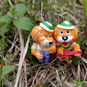 Семейство львов на отдыхе