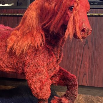 Рабочие фото. Осталось чуть-чуть