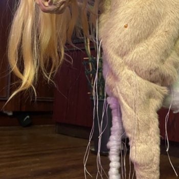 Я не потерялась, но застряла