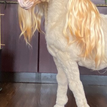 Передняя часть фигурки