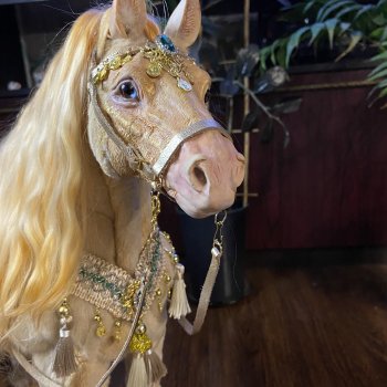 Почти финиш