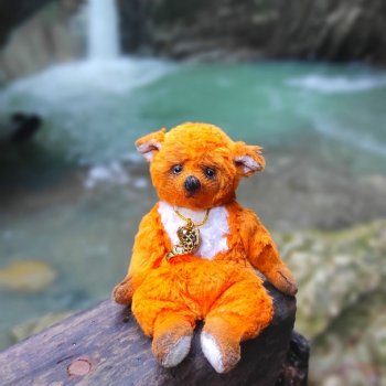 Тедди и путешествия