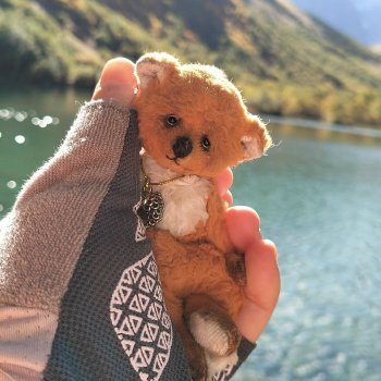 Фоксик и его друзья на Домбае!!!