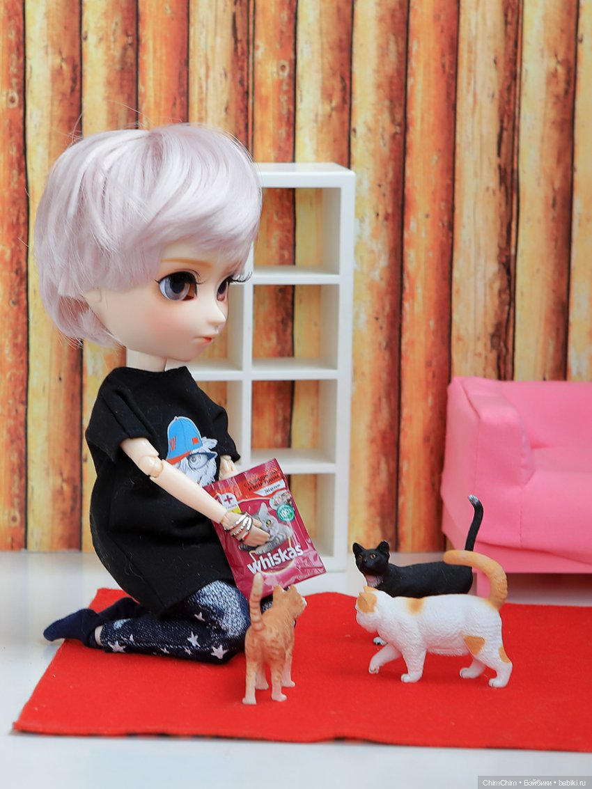 Мой Таянг — Куклы Pullip (Пуллип)