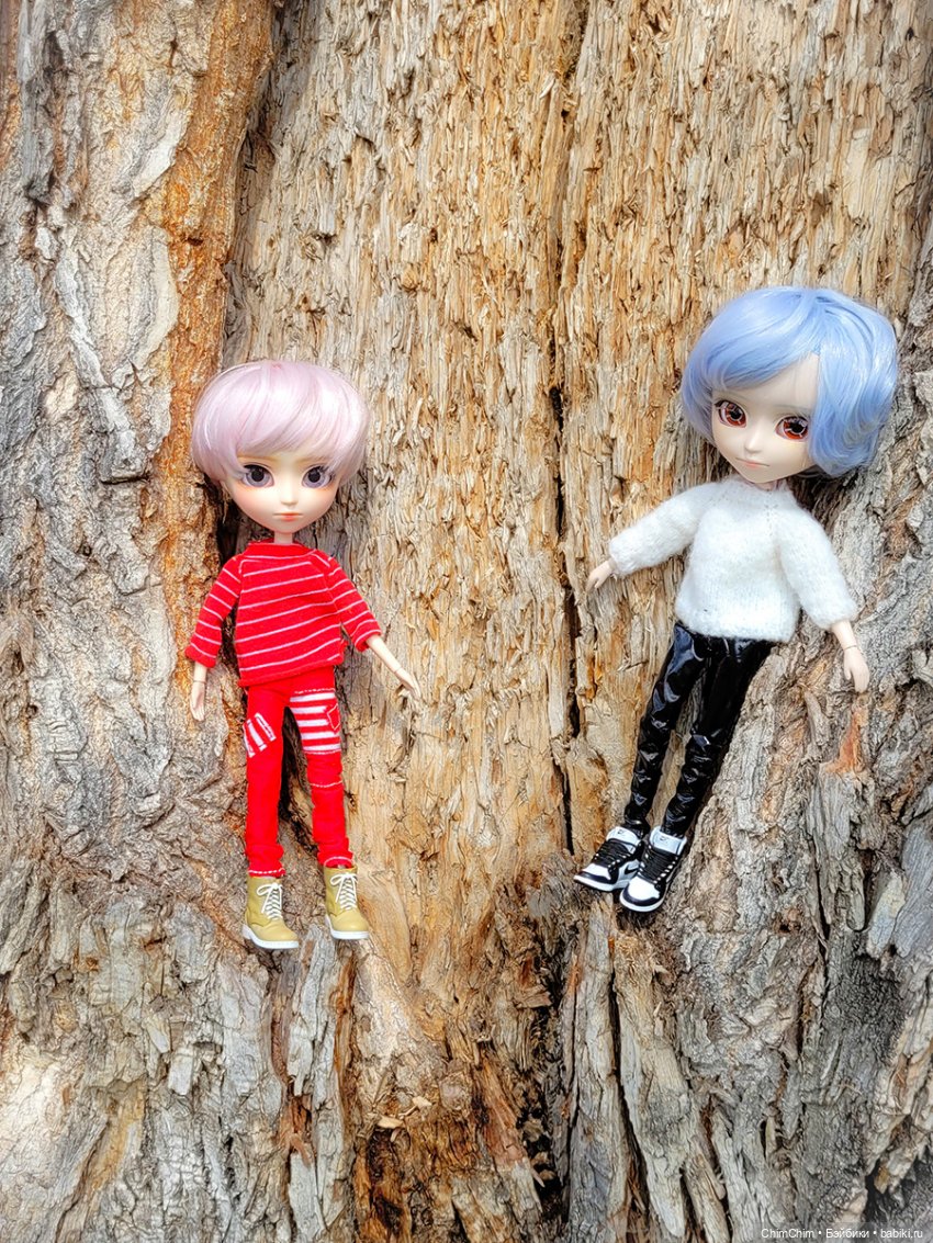 Сюрприз — Куклы Pullip (Пуллип)