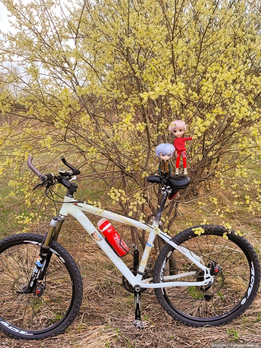 Сюрприз — Куклы Pullip (Пуллип)