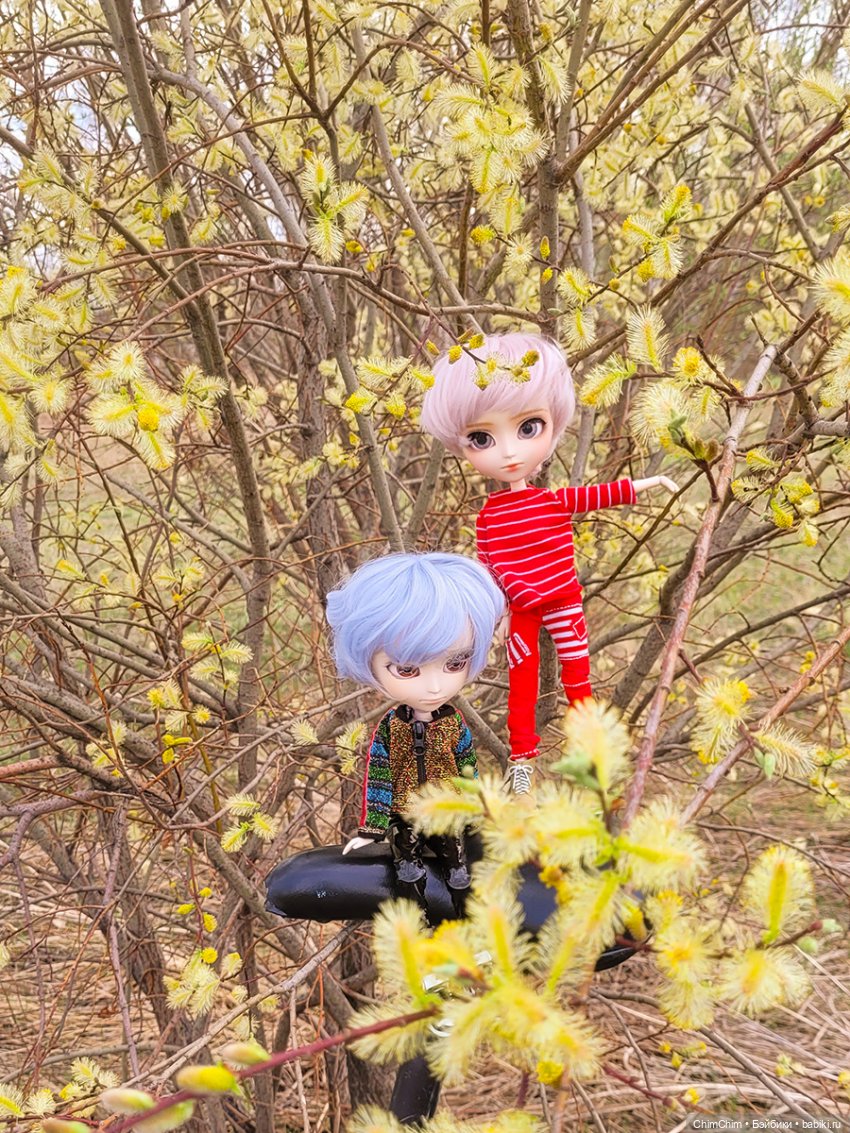 Сюрприз — Куклы Pullip (Пуллип)