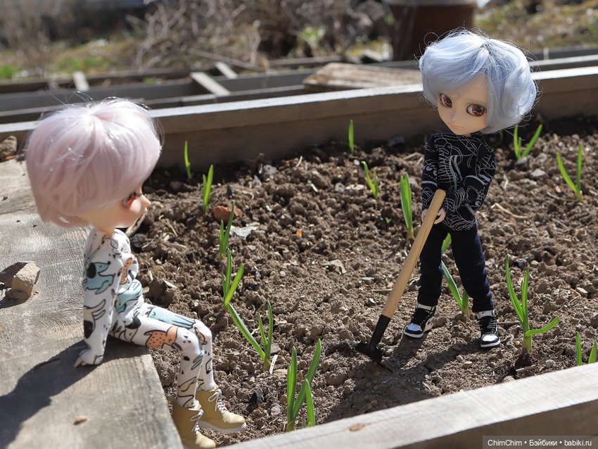 Сюрприз — Куклы Pullip (Пуллип) (фото 9)