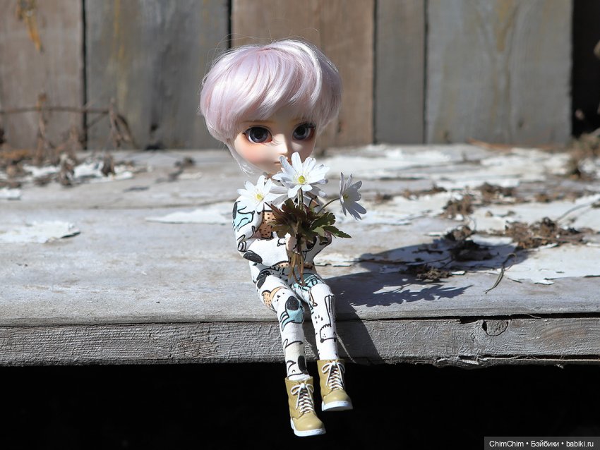 Сюрприз — Куклы Pullip (Пуллип)