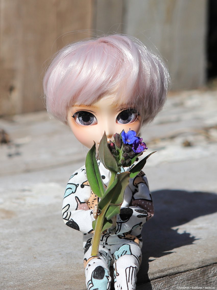 Сюрприз — Куклы Pullip (Пуллип)