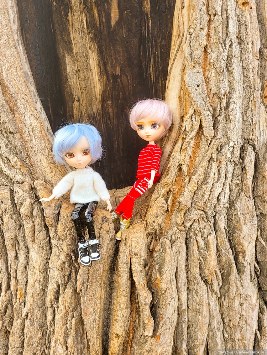 Сюрприз — Куклы Pullip (Пуллип)