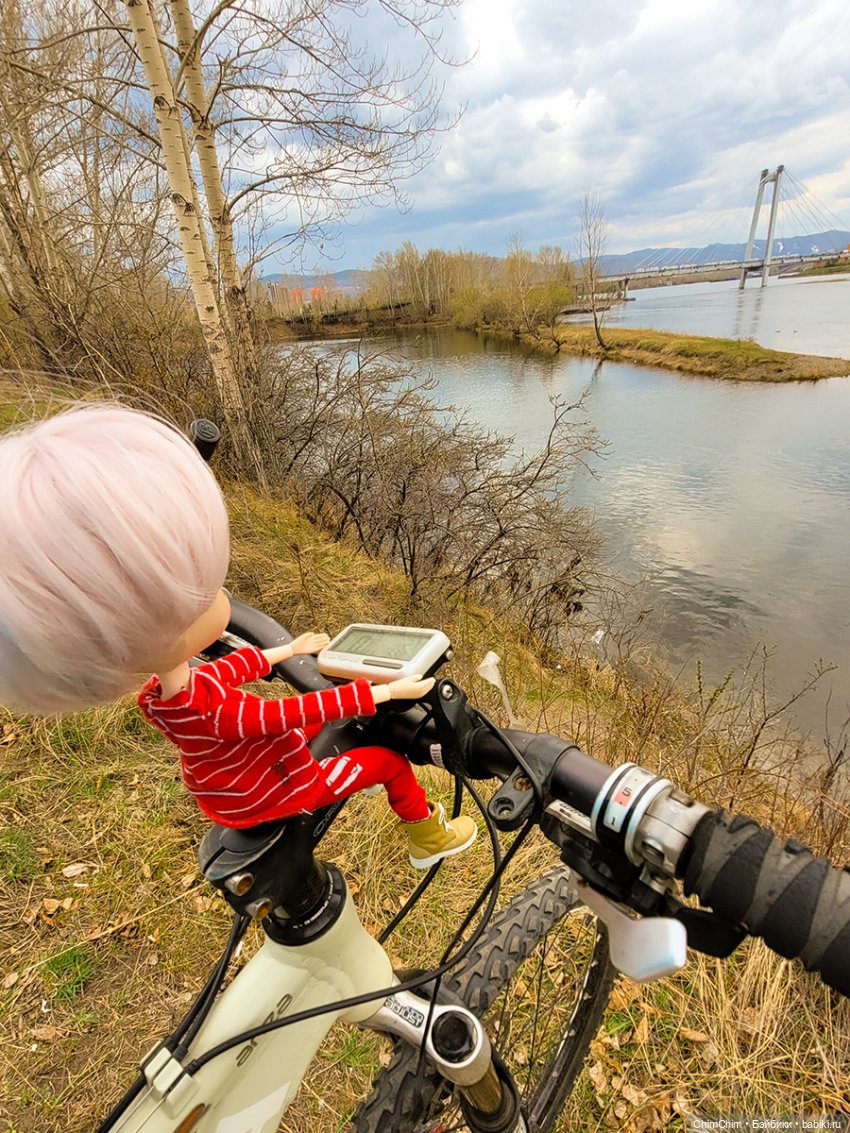 Сюрприз — Куклы Pullip (Пуллип)