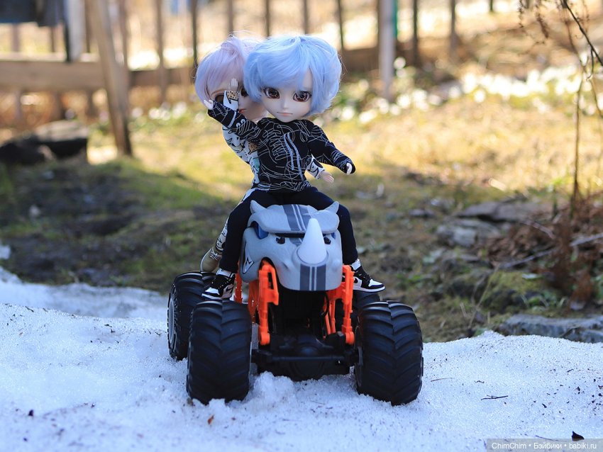 Сюрприз — Куклы Pullip (Пуллип)