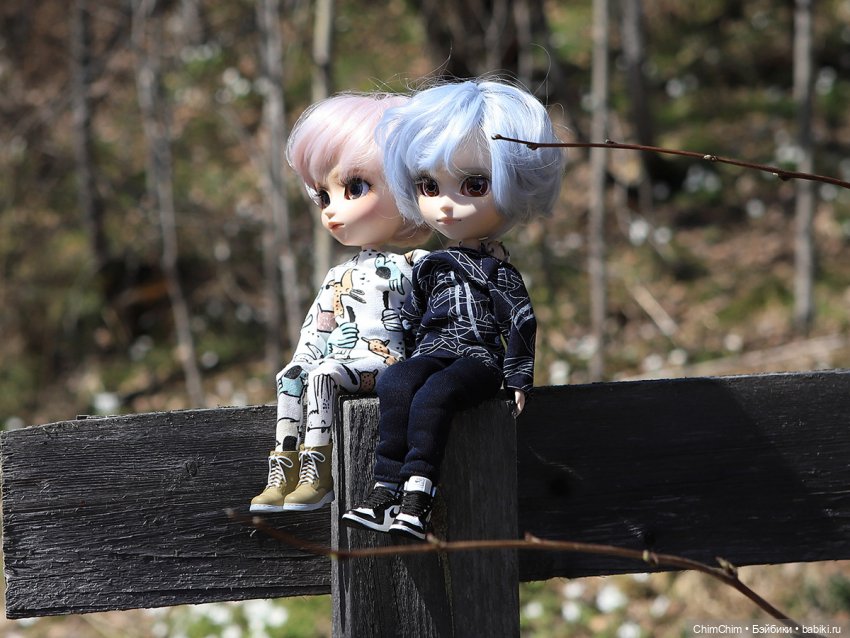 Сюрприз — Куклы Pullip (Пуллип)