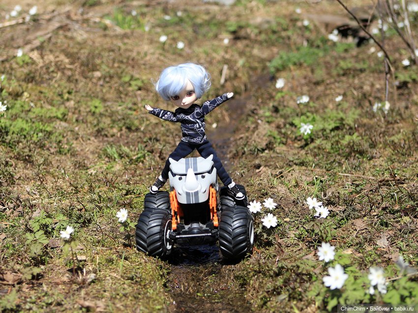 Сюрприз — Куклы Pullip (Пуллип) (фото 10)