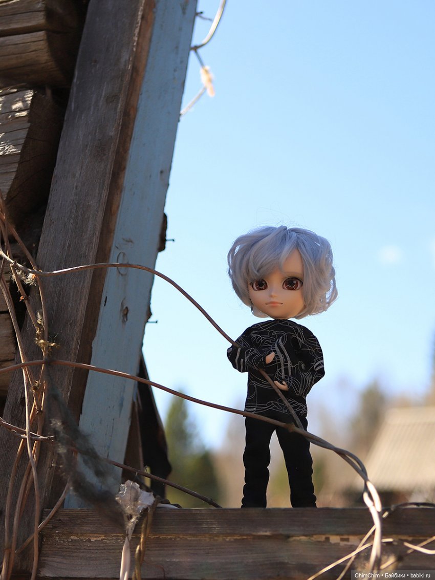 Сюрприз — Куклы Pullip (Пуллип)