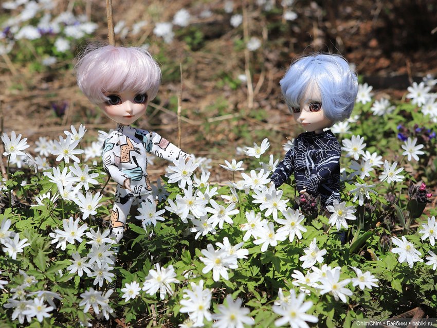 Сюрприз — Куклы Pullip (Пуллип)