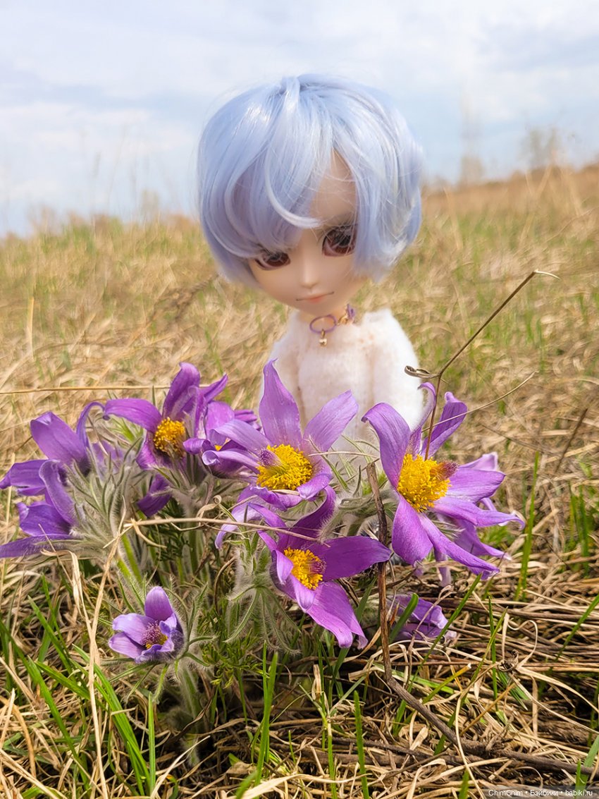 Сюрприз — Куклы Pullip (Пуллип)