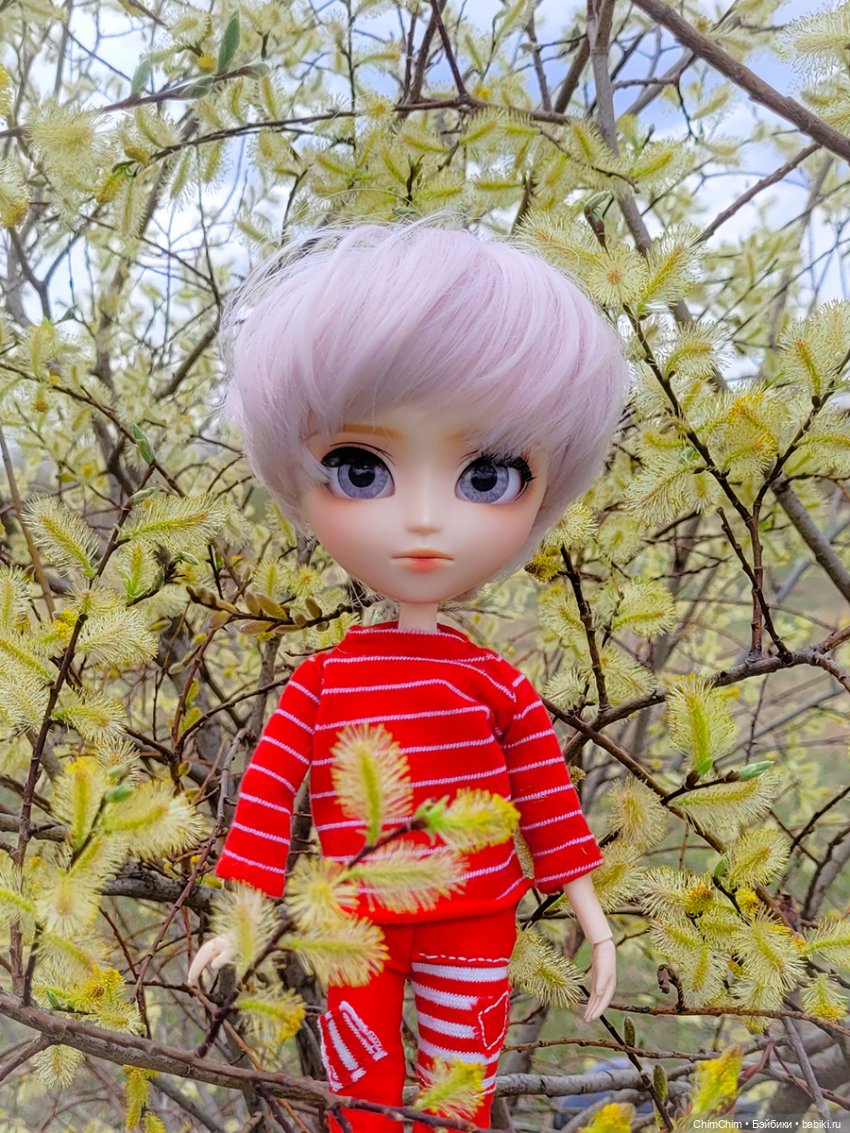 Сюрприз — Куклы Pullip (Пуллип)