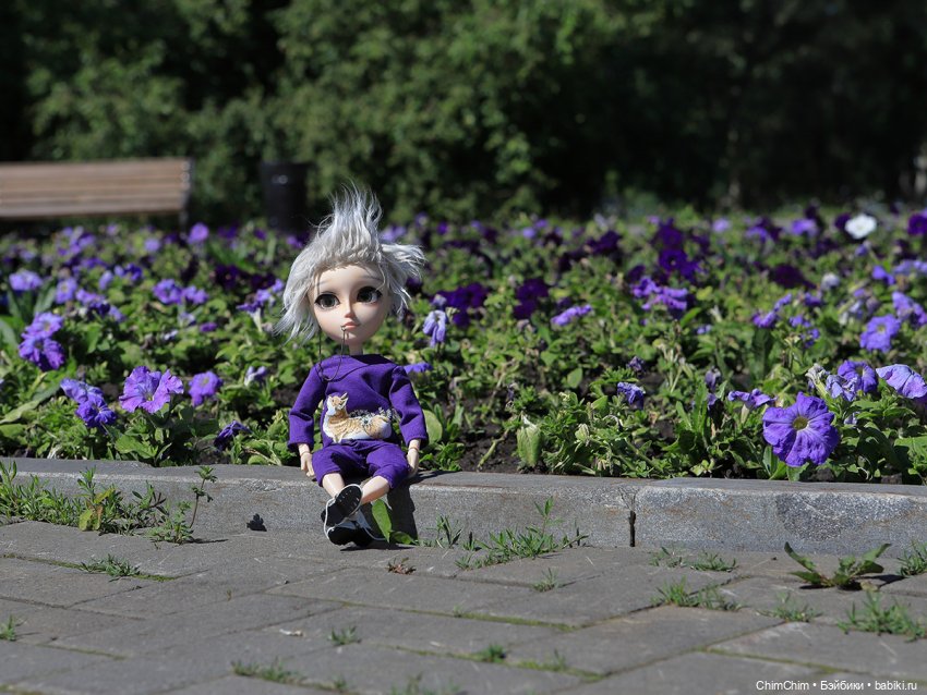 Каникулы — Куклы Pullip (Пуллип)