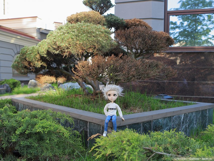 Каникулы — Куклы Pullip (Пуллип)