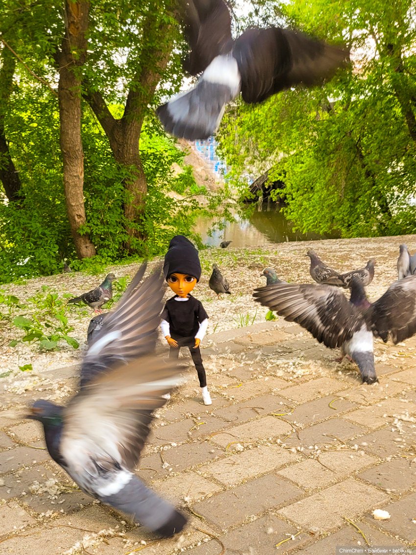 Каникулы, продолжение — Куклы Pullip (Пуллип)