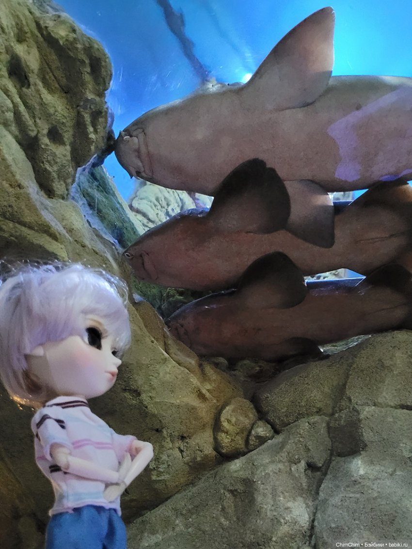 Каникулы, продолжение — Куклы Pullip (Пуллип)