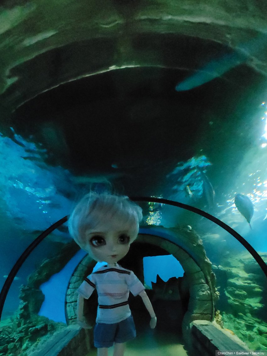 Каникулы, продолжение — Куклы Pullip (Пуллип)