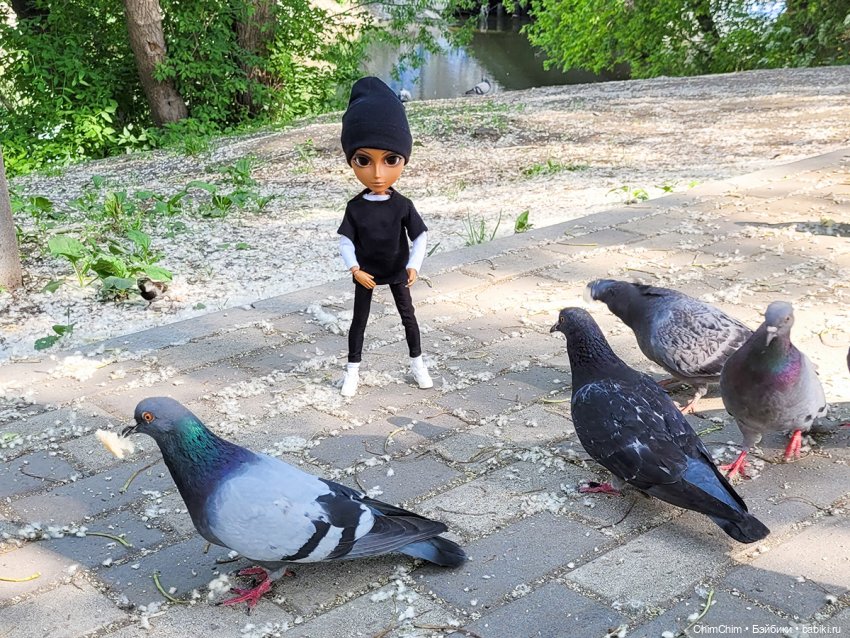 Каникулы, продолжение — Куклы Pullip (Пуллип)