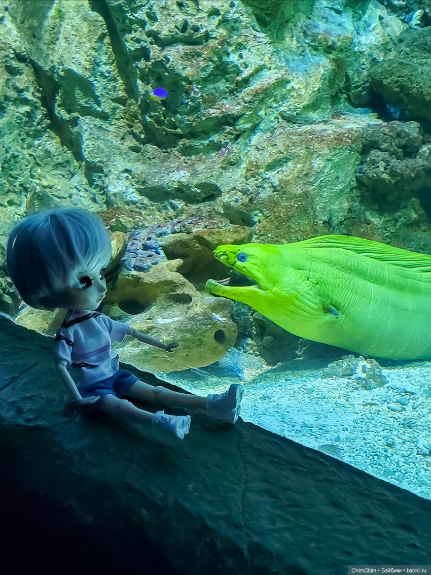 Каникулы, продолжение — Куклы Pullip (Пуллип)