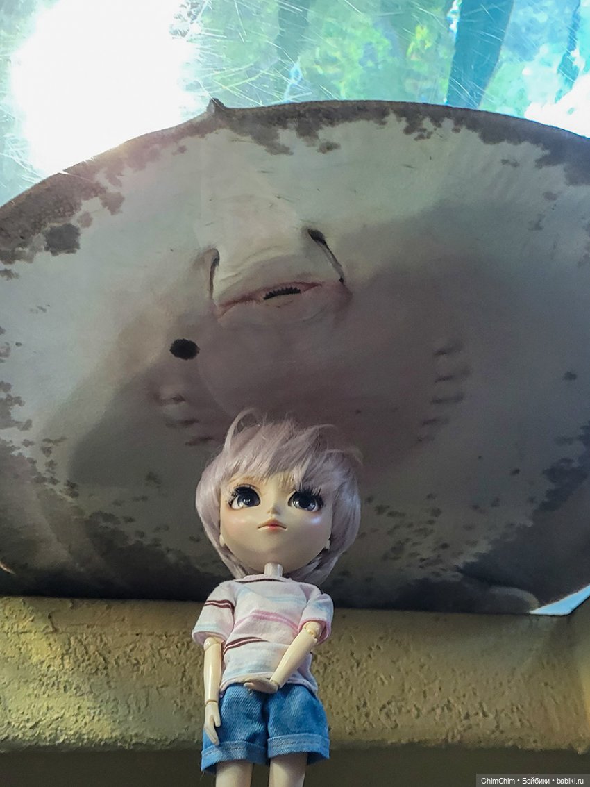 Каникулы, продолжение — Куклы Pullip (Пуллип)