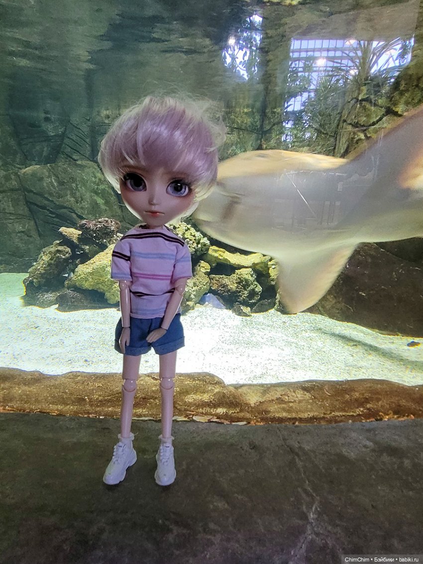 Каникулы, продолжение — Куклы Pullip (Пуллип)