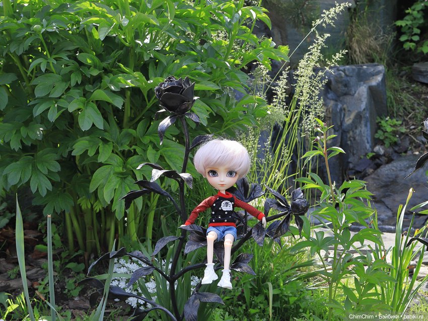 Каникулы, продолжение — Куклы Pullip (Пуллип) (фото 8)