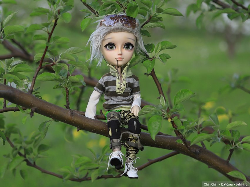 Майские парни — Куклы Pullip (Пуллип) (фото 8)