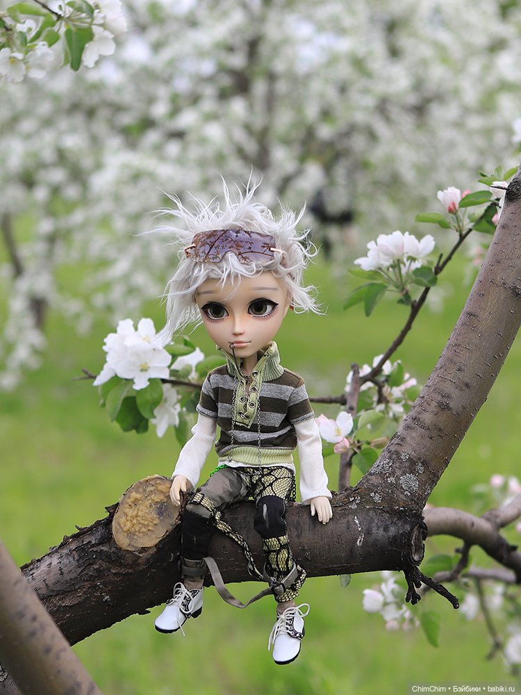 Майские парни — Куклы Pullip (Пуллип) (фото 9)