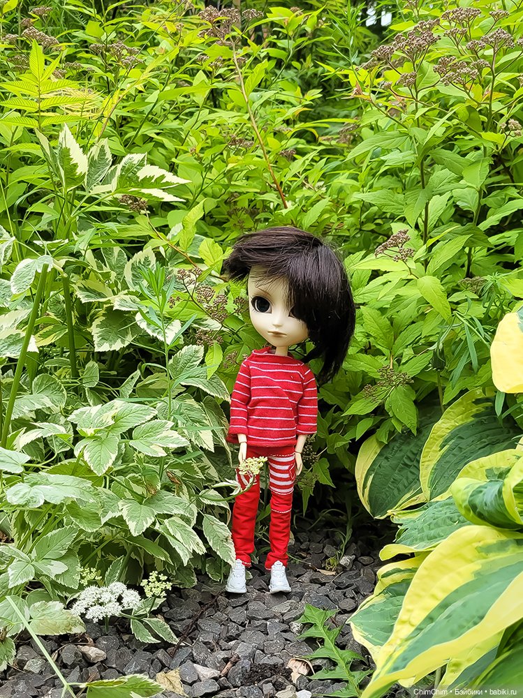 Майские парни — Куклы Pullip (Пуллип)