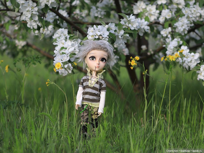Майские парни — Куклы Pullip (Пуллип) (фото 6)