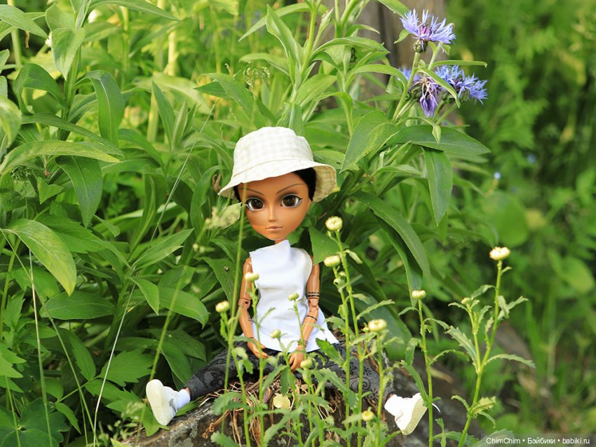 Куклы Pullip (Пуллип)