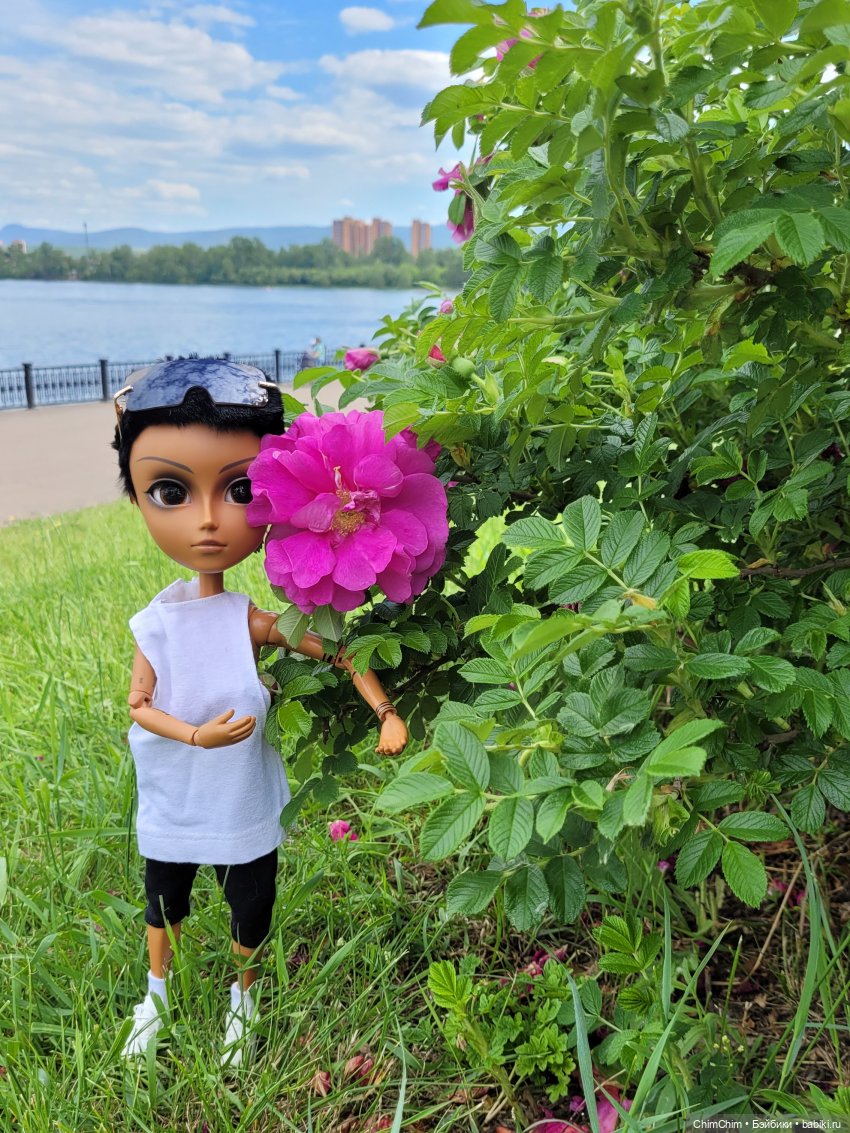 Куклы Pullip (Пуллип)