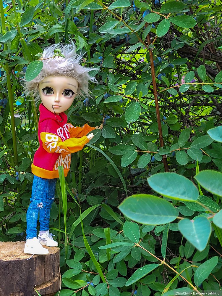 Куклы Pullip (Пуллип)