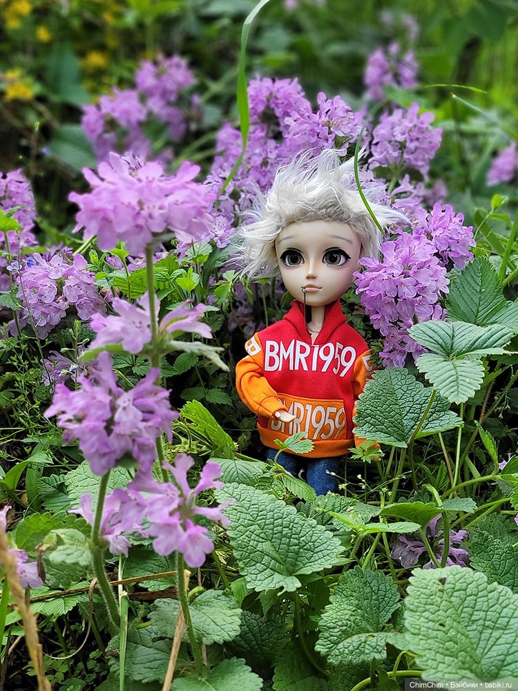 Куклы Pullip (Пуллип)