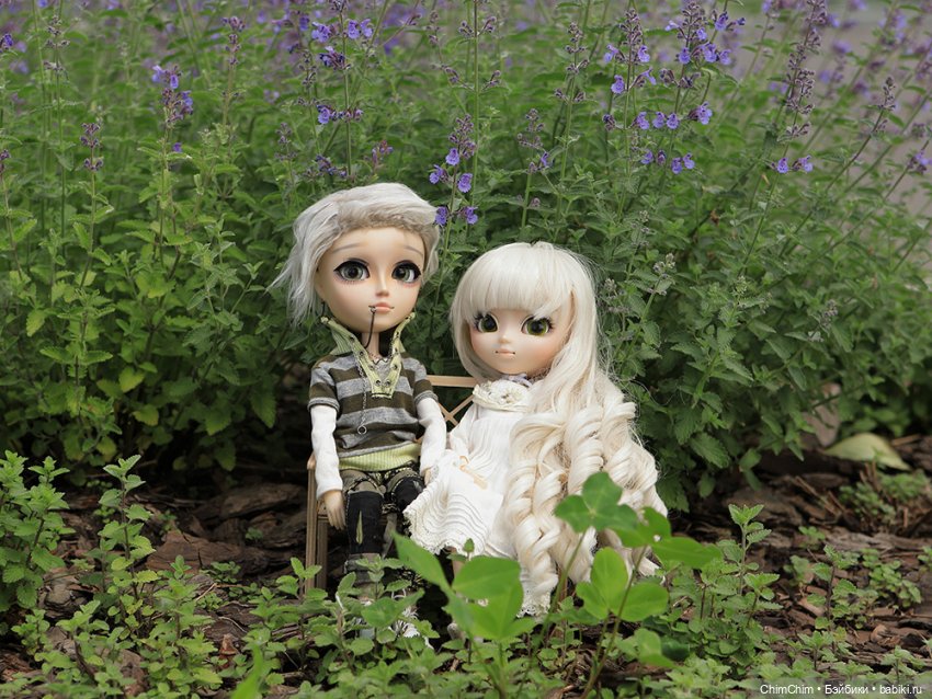 Куклы Pullip (Пуллип)