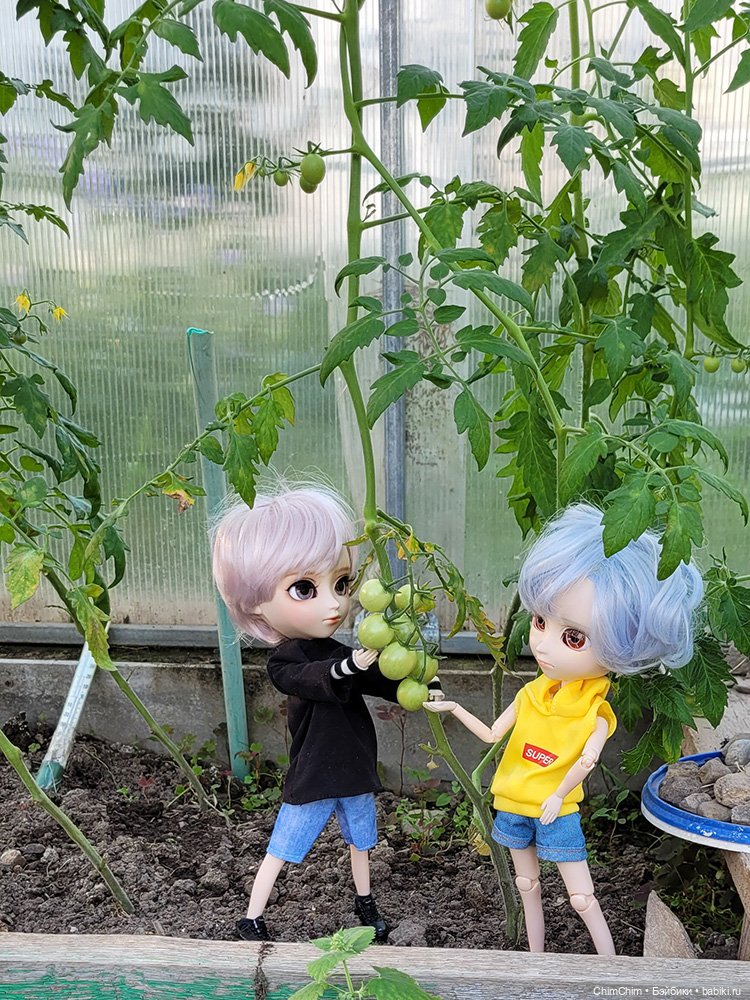 Куклы Pullip (Пуллип)