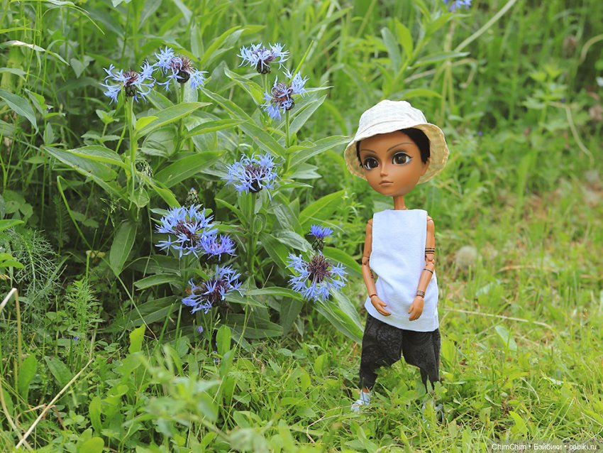 Куклы Pullip (Пуллип) (фото 9)